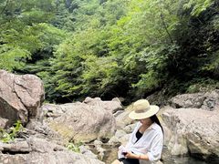 -四明山国家森林公园