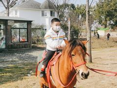 -鹅湖玫瑰文化园