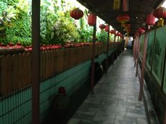 -窄巷子陕菜馆·地道陕西菜(粉巷店)