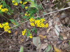 -终南山南五台景区
