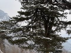 -秦岭终南山世界地质公园翠华山景区