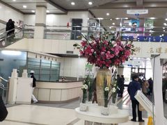 -北京市健宫医院