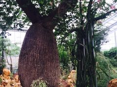 -南通洲际绿博园