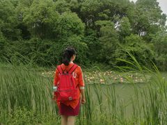 -艾溪湖湿地公园