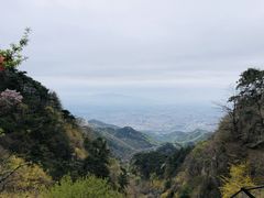 -泰山风景名胜区