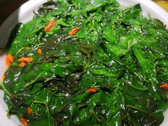 上汤枸杞叶-广东道至正餐厅(区庄店)
