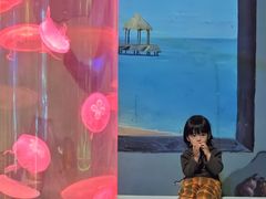 -泉城欧乐堡梦幻世界