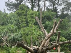 -宁波野生动物园