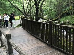 -牛背梁国家森林公园