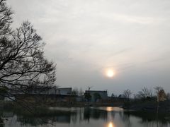 -桃花岛景观公园