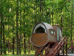 -黄海国家森林公园