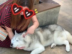 -TrueLove @ Neverland (Husky Cafe)