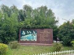 -微山湖红荷湿地景区