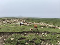 -灵山