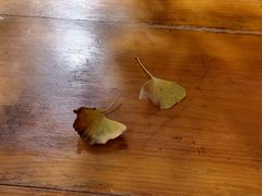 -腾冲国萍农家乐