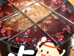 -白乐天毛肚火锅馆(南滨路店)