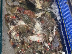 -丰卓会海鲜自助(中润大道店)