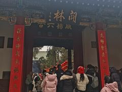 -关林