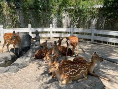 -北京野生动物园