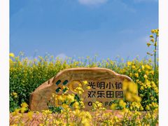 -光明小镇欢乐田园