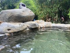 -河源客天下-温泉小镇