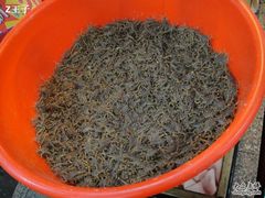 蝎子-渔民新村(番禺总店)