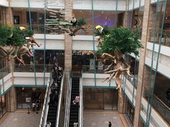 -大族广场Mall&More