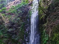-莫里热带雨林景区