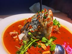 -坛宗剁椒鱼头(河西王府井店)