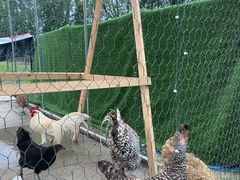 -中国天府农业博览园