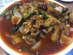 -塔城美食(塔城办事处店)