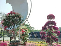 -东莞植物园