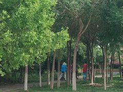 -大港湿地公园