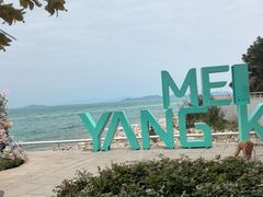 -杨梅坑