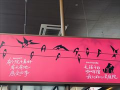 -单家老院·院子里的青岛菜(沙子口店)