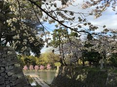-名古屋城