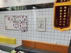 -半岛宠物医院24小时(科华中路店)