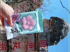 -昆明动物园