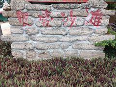 -贝壳沙滩