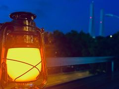 -渔人码头(洛溪店)