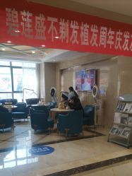 -碧莲盛·不剃发植发