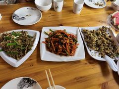 -途肴·老农饭庄(百里峡店)