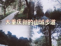 景点-大渡口区义渡公园
