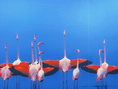 -罗红摄影艺术馆