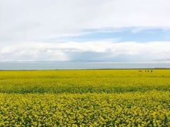 -青海湖国家重点风景名胜区