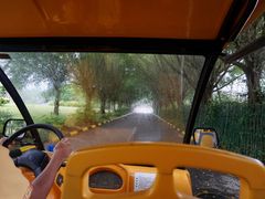 -三亚珠江南田温泉度假区