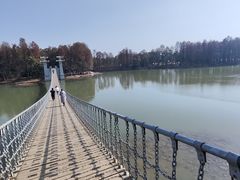 -东湖落雁景区