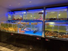 -南海渔村(珠江新城店)