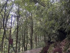 -山王坪喀斯特国家生态公园