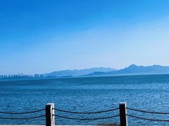 -深圳湾公园(南山区)